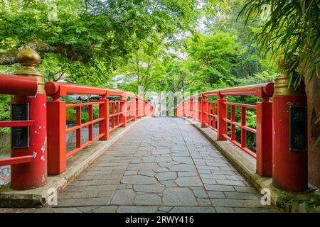 Shuzenji Onsen die Katsura Brücke leuchtet im frischen Grün des Frühlings (Landschaft von Norden nach Süden) Stockfoto