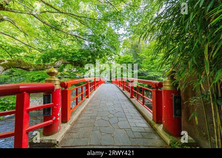 Shuzenji Onsen die Katsura Brücke leuchtet im frischen Grün des Frühlings (Landschaft von Norden nach Süden) Stockfoto