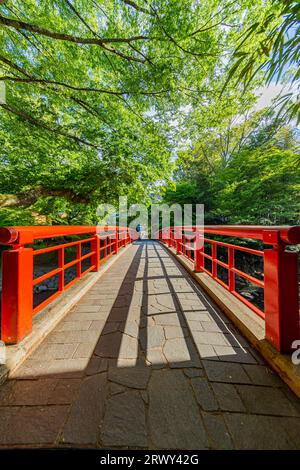 Shuzenji Onsen die Katsura Brücke leuchtet im frischen Grün des Frühlings (Landschaft von Norden nach Süden) Stockfoto