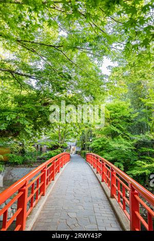 Shuzenji Onsen die Katsura Brücke leuchtet im frischen Grün des Frühlings (Landschaft von Norden nach Süden) Stockfoto