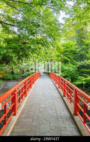 Shuzenji Onsen die Katsura Brücke leuchtet im frischen Grün des Frühlings (Landschaft von Norden nach Süden) Stockfoto