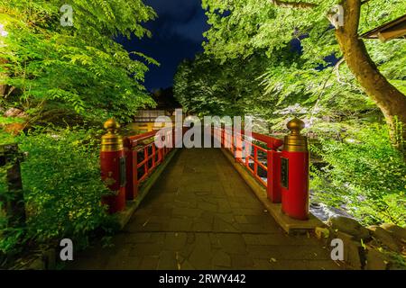 Shuzenji Onsen die Katsura Brücke leuchtet im frischen Grün des Frühlings (Landschaft von Süden nach Norden) Stockfoto