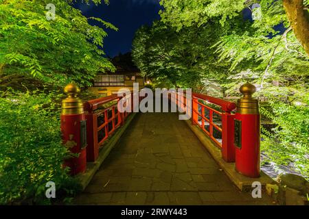 Shuzenji Onsen die Katsura Brücke leuchtet im frischen Grün des Frühlings (Landschaft von Süden nach Norden) Stockfoto