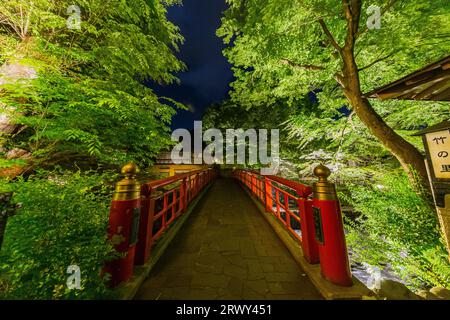 Shuzenji Onsen die Katsura Brücke leuchtet im frischen Grün des Frühlings (Landschaft von Süden nach Norden) Stockfoto