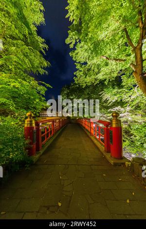 Shuzenji Onsen die Katsura Brücke leuchtet im frischen Grün des Frühlings (Landschaft von Süden nach Norden) Stockfoto