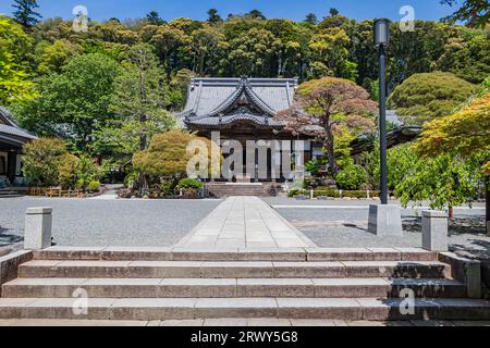 Shuzenji Haupthalle, einer der berühmtesten Sehenswürdigkeiten in Izu Shuzenji Stockfoto