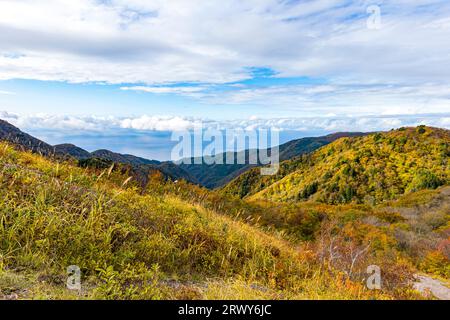 Sado Island: Autumn foliage scenery of the Osado Mountains and the Sea of Japan seen from the highest point of the Osado Skyline Stock Photo