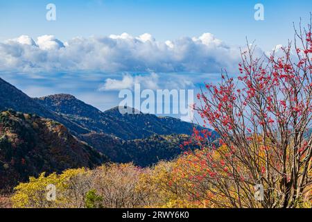 Sado Island: Herbstliche Laublandschaft der Osado Berge und des Japanischen Meeres vom höchsten Punkt der Osado Skyline aus gesehen Stockfoto