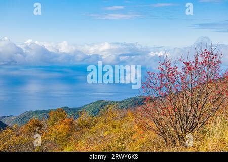 Sado Island: Herbstliche Laublandschaft der Osado Berge und des Japanischen Meeres vom höchsten Punkt der Osado Skyline aus gesehen Stockfoto
