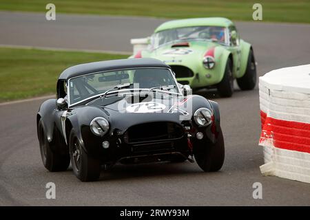 1964 AC Cobra mit Brian Caudwell/David Brabham im Royal Automobile Club TT Celebration Race beim Goodwood Revival Meeting am 8. September 2023 Stockfoto