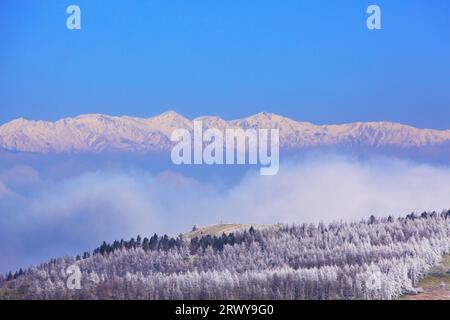 Die Hakuba-Bergkette von Ohgahana aus gesehen, der Lärchenwald mit Nebel und Eis und der Hügel der Erinnerungen Stockfoto