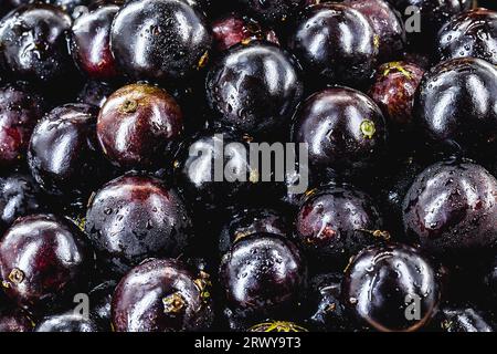 Jabuticaba. Brasilianische und südamerikanische tropische Früchte, in einem Kupfertopf auf einem rustikalen Tisch Stockfoto