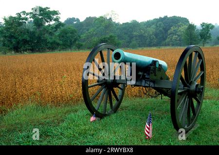 Kanone, Antietam National Battlefield, Maryland Stockfoto