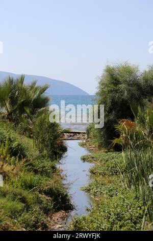 Sommer Reisen in Albanien Vlora Stadt Erkunden in Lungo Stute Orte die besten Strände zu chillen erstaunliche albanische Momente große Größe hohe Qualität Instant Stockfoto