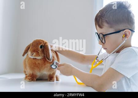 Ein süßer kleiner Junge, der Tierarzt ist, der ein Kaninchen stethoskopiert. Hochwertige Fotos Stockfoto