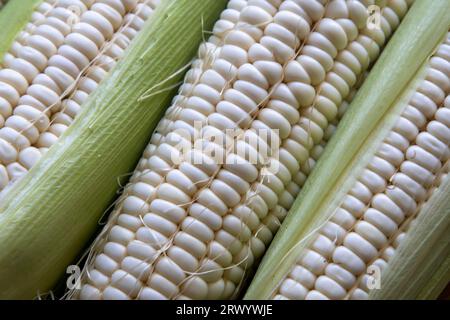 Makroaufnahmen von Maiskörnern Stockfoto