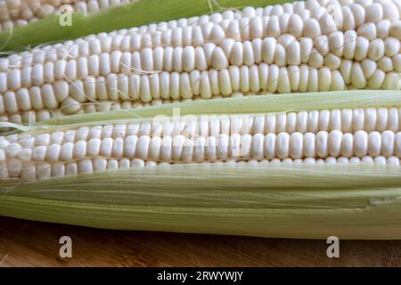 Makroaufnahmen von Maiskörnern Stockfoto