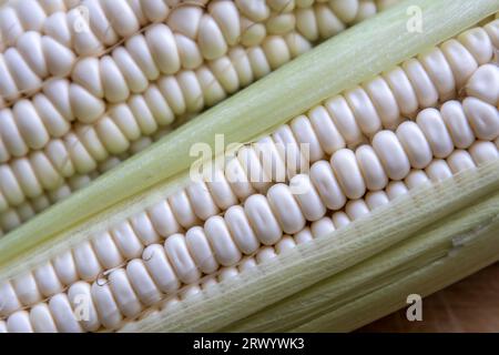 Makroaufnahmen von Maiskörnern Stockfoto