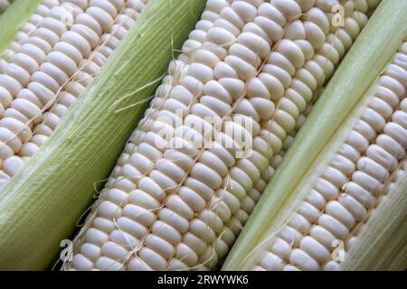 Makroaufnahmen von Maiskörnern Stockfoto