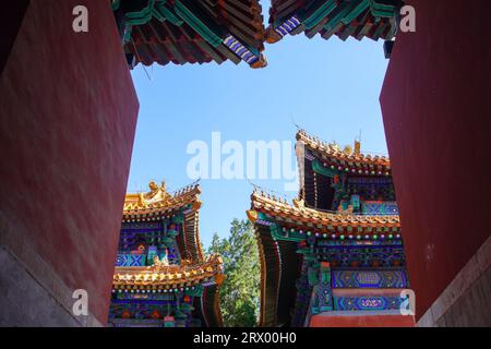 Gesimse des Stelenpavillons im Pekinger Konfuziustempel Stockfoto