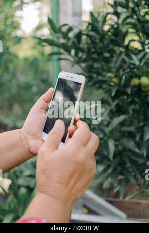 Nahaufnahme von Händen, die Fotos von Pflanzenblättern mit einem weißen Smartphone machen Stockfoto