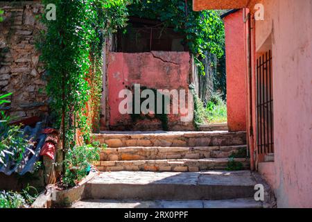 Alte Steintreppen im Innenhof eines alten Hauses mit grünen Pflanzen Stockfoto