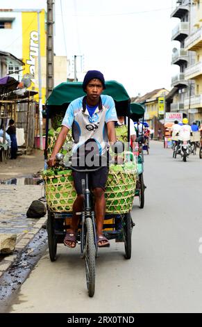 Transport von Obst und Gemüse auf einer Fahrradrikscha in Moramanga, Madagaskar. Stockfoto