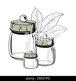 Vektor-Illustration Set aus drei leeren geschlossenen Glasbehältern mit festen Deckeln und Kakaoblättern. Schwarze Kontur, grafische Zeichnung in Kurven. Für Stock Vektor