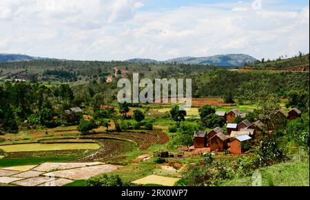 Der Anbau von Reisfeldern in Zentral-Ost-Madagaskar. Stockfoto