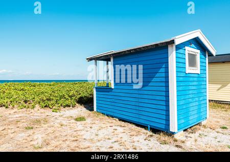 Bunte, windgepeitschte hölzerne Badehütten in den Sanddünen am Strand von Skanör med Falsterbo am Öresund in der Morgensonne, Skåne, Schweden Stockfoto