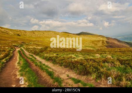 Leere Straße, die durch die Berge führt Stockfoto