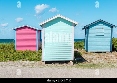 Bunte, windgepeitschte hölzerne Badehütten in den Sanddünen am Strand von Skanör med Falsterbo am Öresund in der Morgensonne, Skåne, Schweden Stockfoto