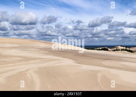 Lacka gora Düne in der Nähe des Dorfes Leba im Slovincian National Park, Polen. Lacka gora ist die höchste Düne an der polnischen Ostseeküste. Stockfoto