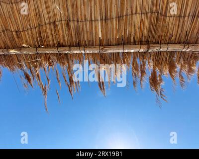 Strohhaidach vor blauem Himmelshintergrund Stockfoto