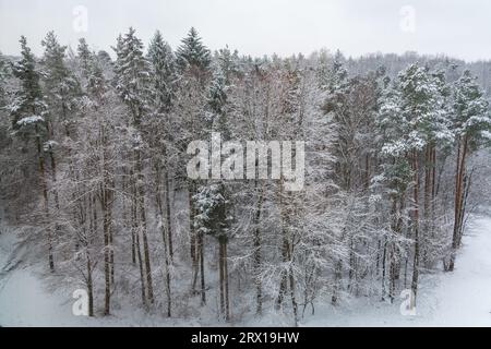 Der Naturpark Schönbuch in der Region Stuttgart, im Winter Stockfoto