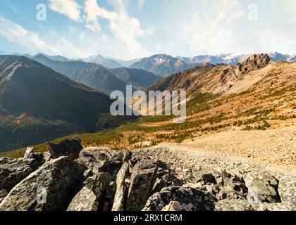 Golden Larch Mountain Landscape in den Purcell Mountains, Britis Stockfoto
