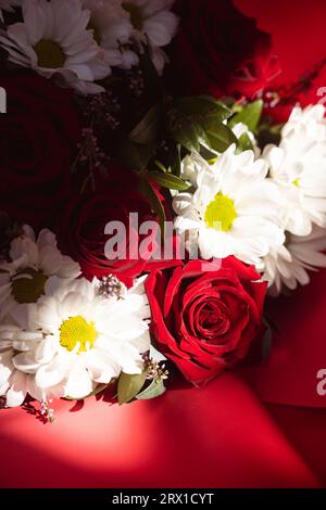 Ein Blumenstrauß aus roten Rosen und weißen Gänseblümchen in einer roten Umhüllung Stockfoto