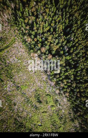 Luftaufnahme des Rands des Holzeinschlags von klarem und bewaldetem Land in Maine Stockfoto