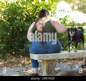 Fette Frau, die mit ihrem Hund auf einer Bank im Park sitzt. Mittlere Aufnahme Stockfoto