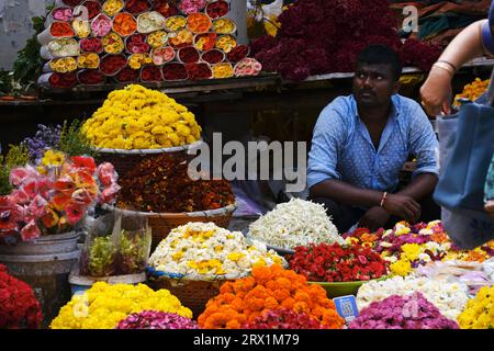 Am 20. September 2023 werden bunte Blumengirlanden an den Marktständen in Pune während des Ganesh Festivals, Indien, Festivals in Indien verkauft. Stockfoto