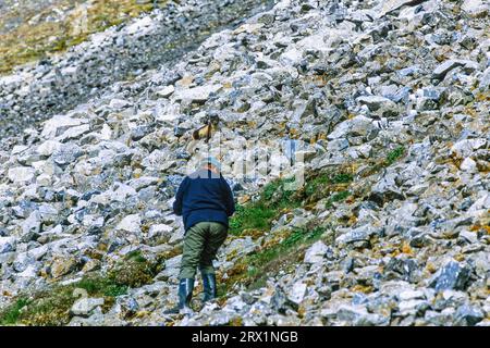 Polarfuchs (Vulpes lagopus), der einen Mann in einem felsigen Gelände in der Arktis, Svalbard, betrachtet Stockfoto