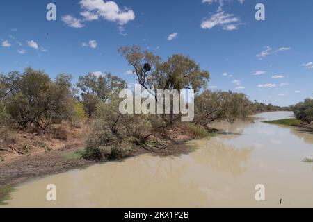 Die Longreach Region ist reich an einem großen Flusssystem, dem Thomson River, etwas außerhalb von longreach, Queensland, Australien Stockfoto