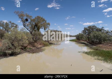 Die Longreach Region ist reich an einem großen Flusssystem, dem Thomson River, etwas außerhalb von longreach, Queensland, Australien Stockfoto