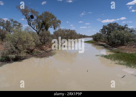 Die Longreach Region ist reich an einem großen Flusssystem, dem Thomson River, etwas außerhalb von longreach, Queensland, Australien Stockfoto