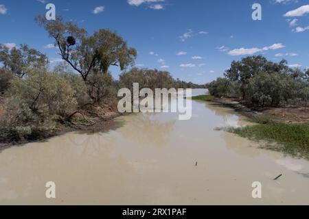 Die Longreach Region ist reich an einem großen Flusssystem, dem Thomson River, etwas außerhalb von longreach, Queensland, Australien Stockfoto