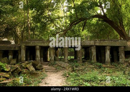 Malerische antike kambodschanische Ruinen im Dschungel Stockfoto