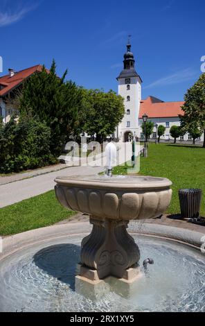 Marktbrunnen mit Benediktinerstift Michaelbeuern, Michaelbeuern, Flachgau, Land Salzburg, Österreich Stockfoto