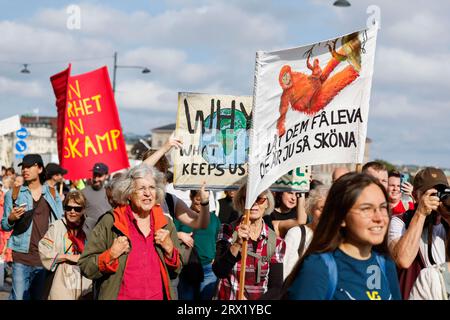 Stockholm, Schweden. September 2023. Klimastreik in Mynttorget in Stockholm, organisiert vom Netzwerk Fridays for Future, 22. September 2023.Foto: Christine Olsson/TT/Code 10430 Credit: TT News Agency/Alamy Live News Stockfoto