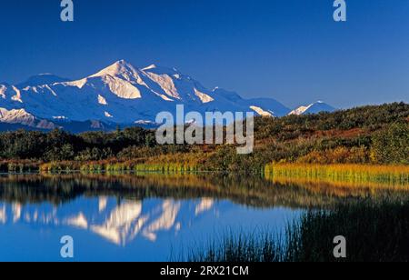 Mount Foraker reflektiert in Reflection Pond, spiegelt sich Mount Foraker in Reflection Pond, Denali National Park, Alaska Stockfoto