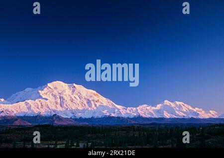 Denali und Mount Foraker im Abendlicht, Denali und Mount Foraker in der Abenddämmerung, Denali National Park, Alaska Stockfoto